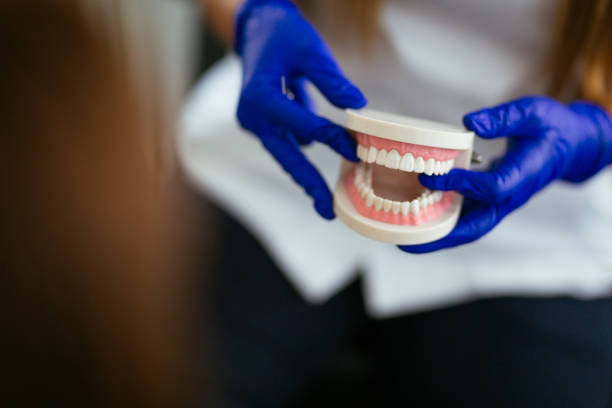 Professional Holistic Dental Care Services in Bement, IL